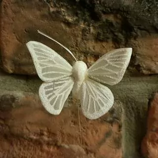 Motýl zápich 6 cm K0040