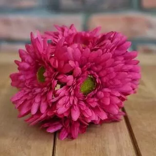 Gerbera svazek K0787