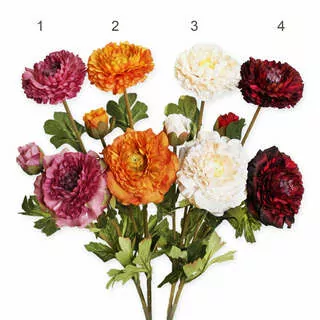 Ranunculus 64 cm mix K8617