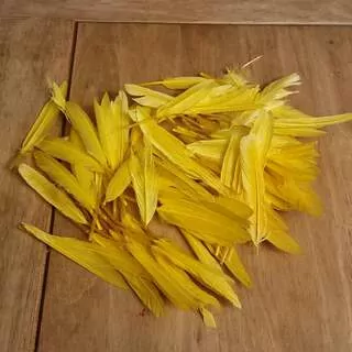 Dekorační brka žlutá K4310