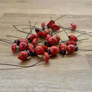 Beruška zápich dřevo 24 ks K7937