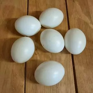 Dekorační vajíčka 6 ks K5723