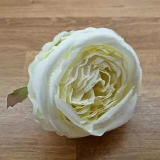 Květ růže Austin vazbová 10 cm K0905