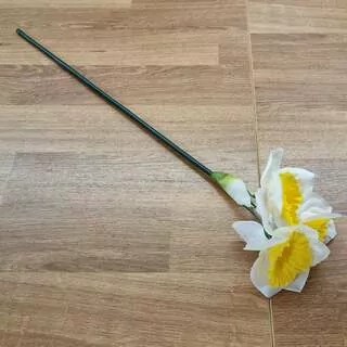 Narcis bílá 40 cm K1781