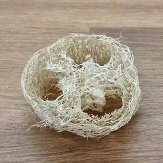 Sušina Luffa fette bianco 1 ks K1188