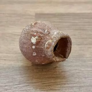 BELLGUMS LOOSE FROSTED ORANGE 1 ks K2903