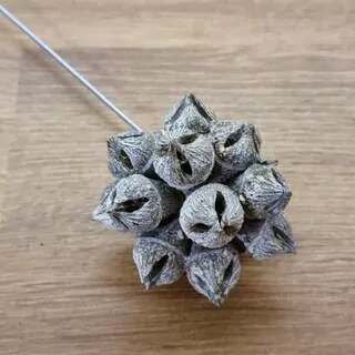 Su Spidergum na Drátku Whitewashed 1 ks K0648