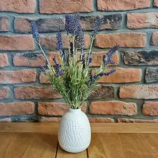 Levandule trs fialová K1192