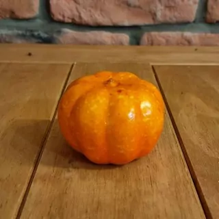 Dýně dekorační střední K0155