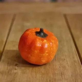 Dýně dekorační K0162
