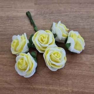 Růže pěna světle žlutá K5874