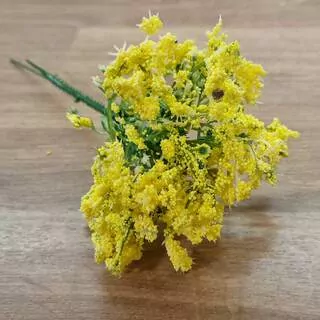 Gypsa žlutá K0397