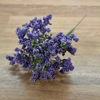Gypsa fialová K0403