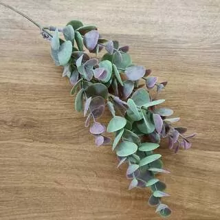 Eucalyptus větvička K3462