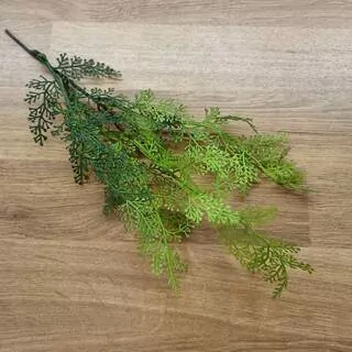 Větvička asparagus K1938