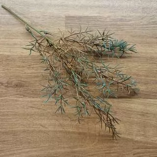 Větvička asparagus K2135