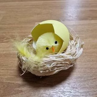 Hnízdo s kuřátkem K2352