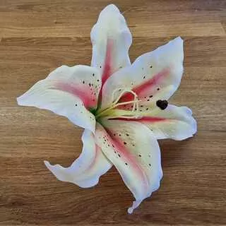 Květ lilie žlutá/růžová K2625