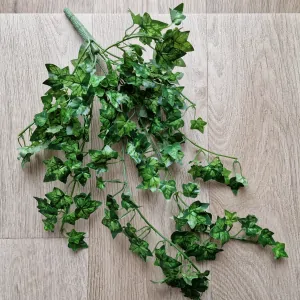 Břečťan převis 46 cm K0998 B