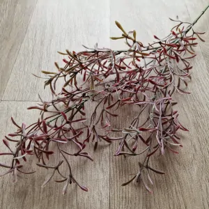 Asparagus umělý červený 76cm K3506