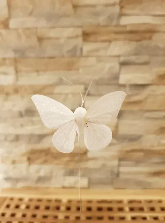 Motýl zápich 6 cm K0040