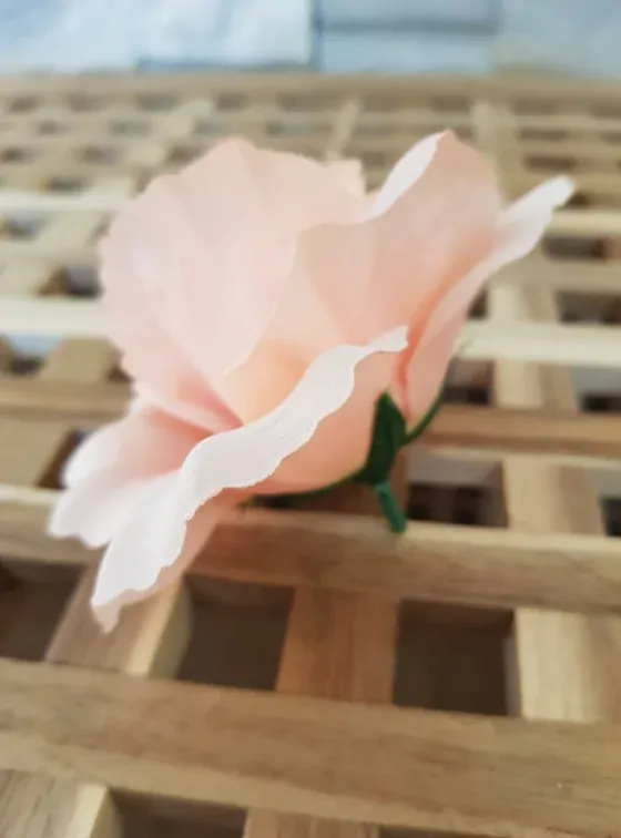 Květ růže lososový 8 cm K9568