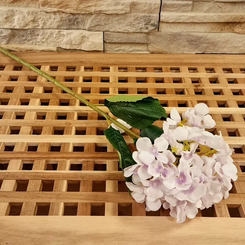 Hortenzie 60 cm velká II.Jakost K5207