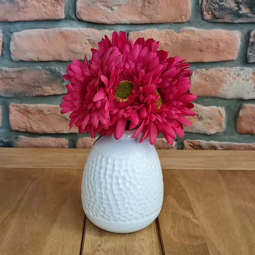 Gerbera svazek K0787