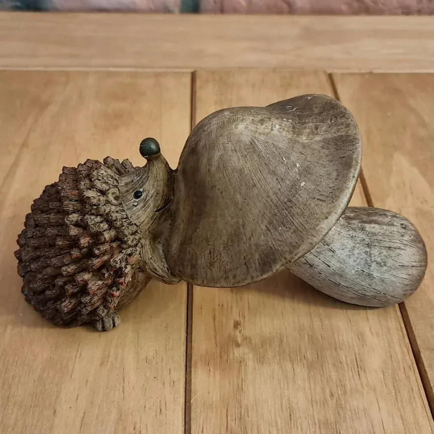 Hřib s ježkem K1138