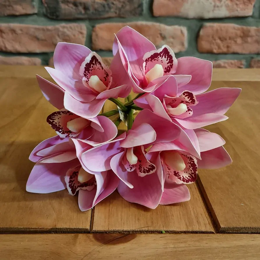 Cymbidium umělé 7 ks  K9308