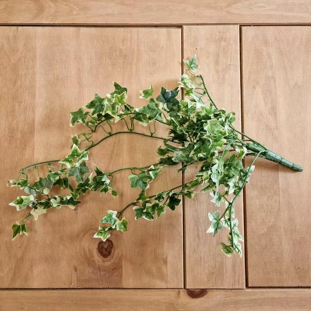 Břečťan převis 46 cm K0998 A