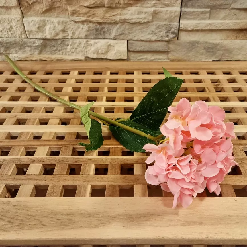 Hortenzie 60 cm velká II.Jakost K5207