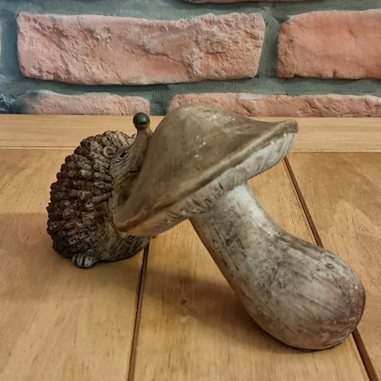 Hřib s ježkem K1138