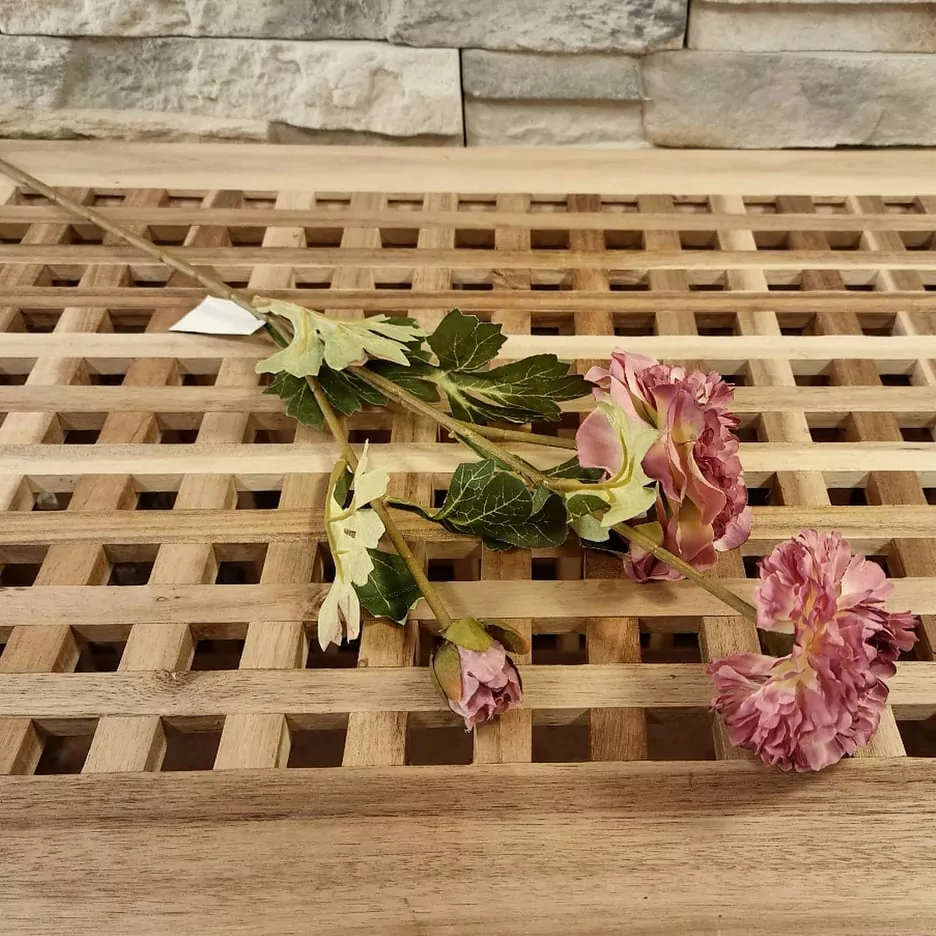 Ranunculus 64 cm mix K8617