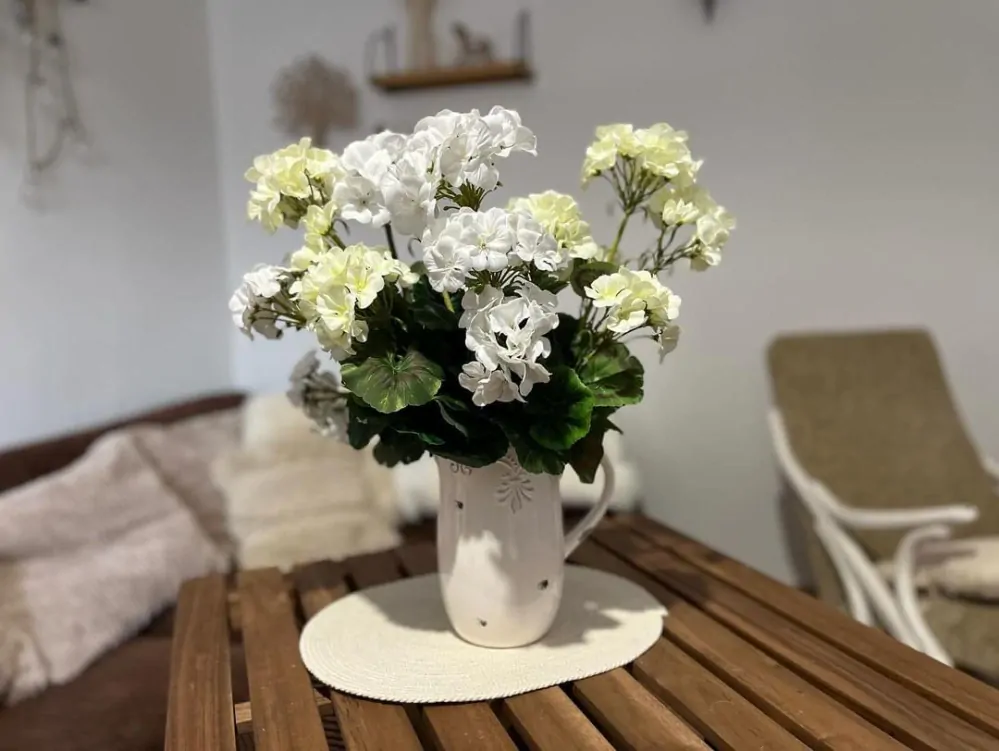 Muškát ( pelargonie ) 3 květy K2897